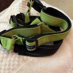 Easy Walk Harness