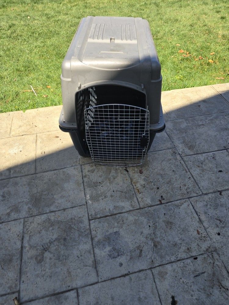 Dog Carrier
