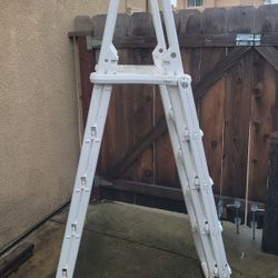 Pool Ladder- Confer Plastics