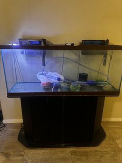 Fish tank