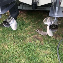 Set of Yamaha Reliance Props 14”1/4 X 17P for Yamaha 150hp-300hp Outboard Engines