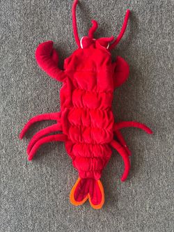 XS dog puppy clothes  Halloween costume - red lobster