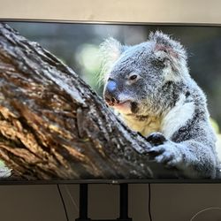 LG 55” TV 