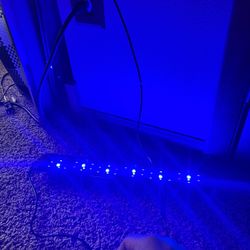 Aquarium Lights