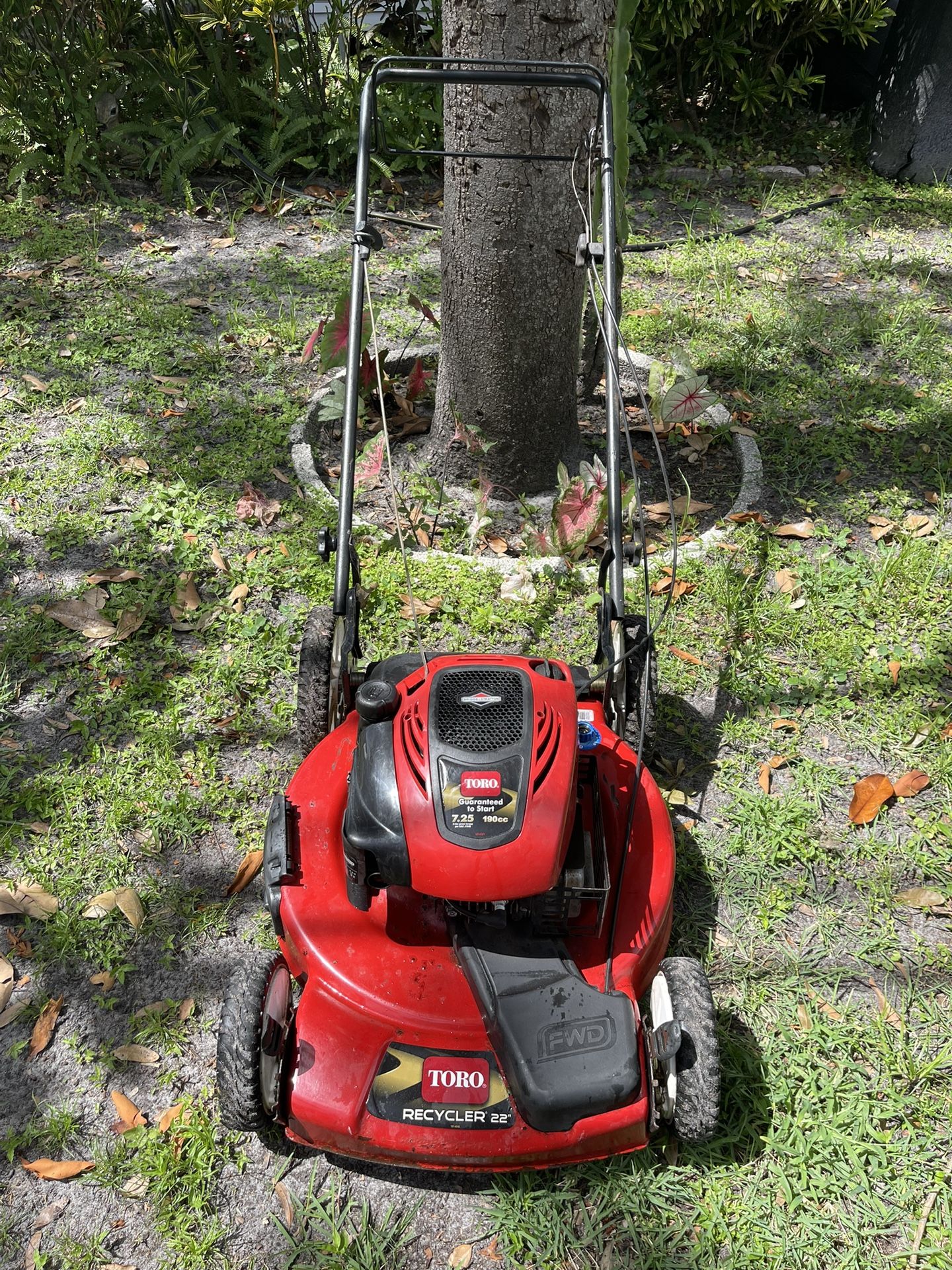 Self Propelled High Wheel Lawn Mower Toro Recycler 22” Cut With A 7.25 HP Engine