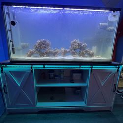 fish tank 55 Gallons with cabinet