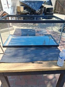 40 gallon aquarium