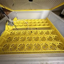 Egg Incubator 96 Eggs .Excellent Condition Great Hatch Rate
