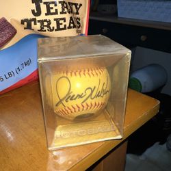 Jerome Walton Baseball