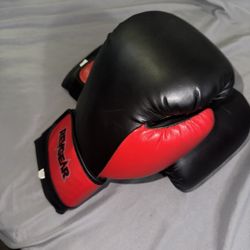 RevGear Boxing Gloves  