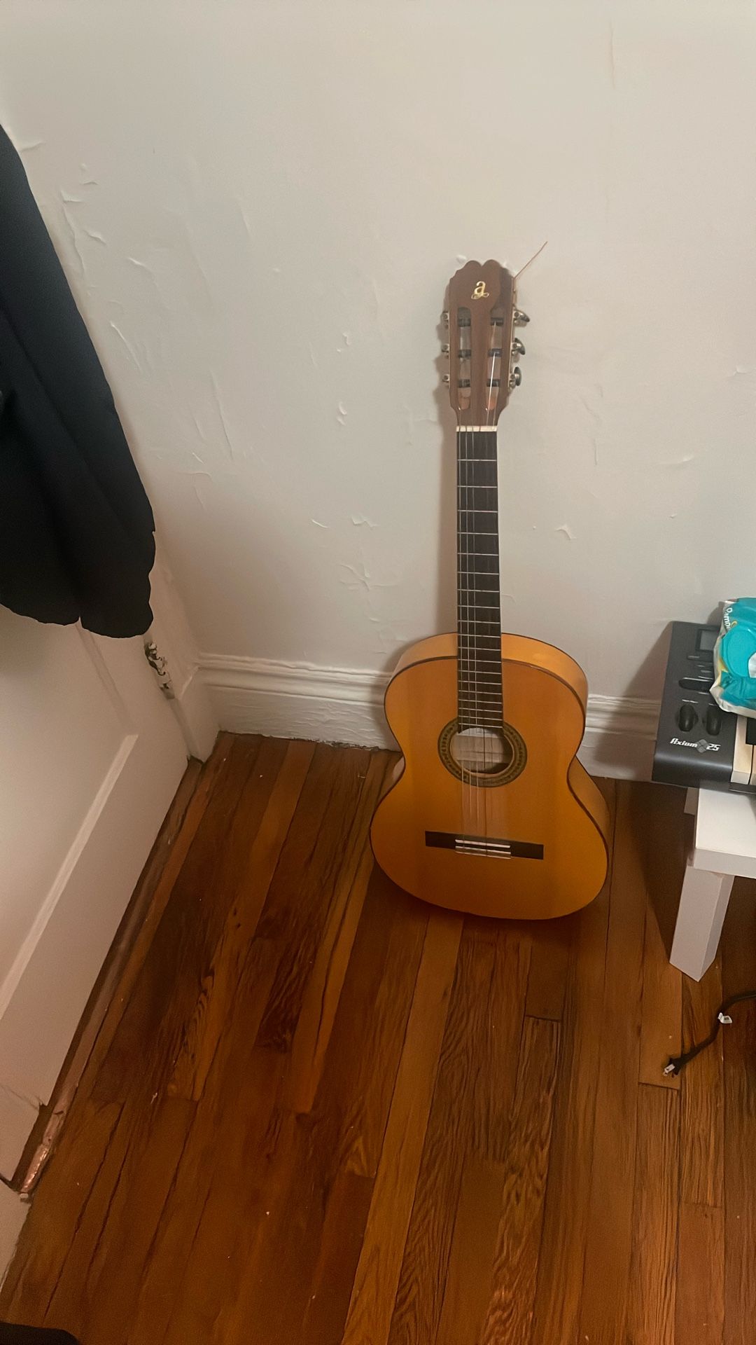 Flamenco Guitar