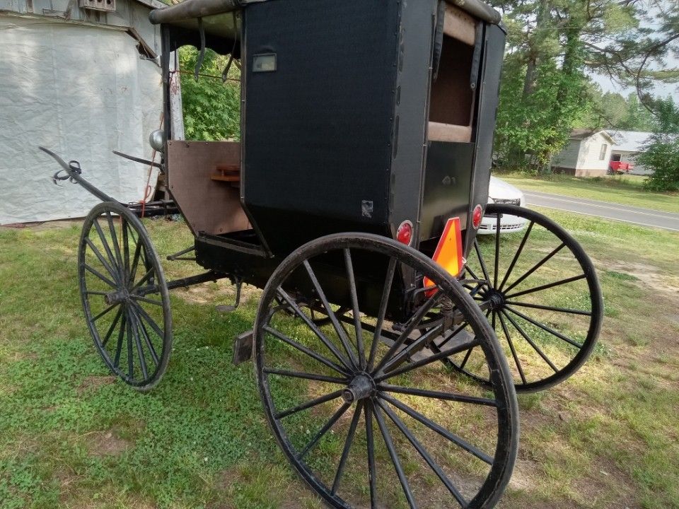 Amish courting buggy