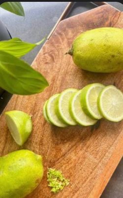 RARE Gondhoraj Lebu AKA Perfume Lemon 香水柠檬 Lime Fruit Tree Fragrant Fruit Tea