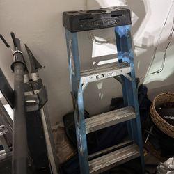 Werner Ladder 