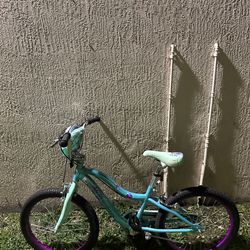 Schwinn Childrens Bike 