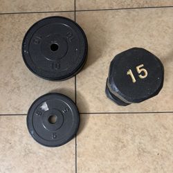 Barbell Plates & Dumbbell 