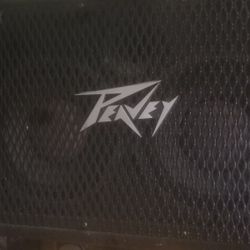 Peavey 2x10 Bass Cabinet 