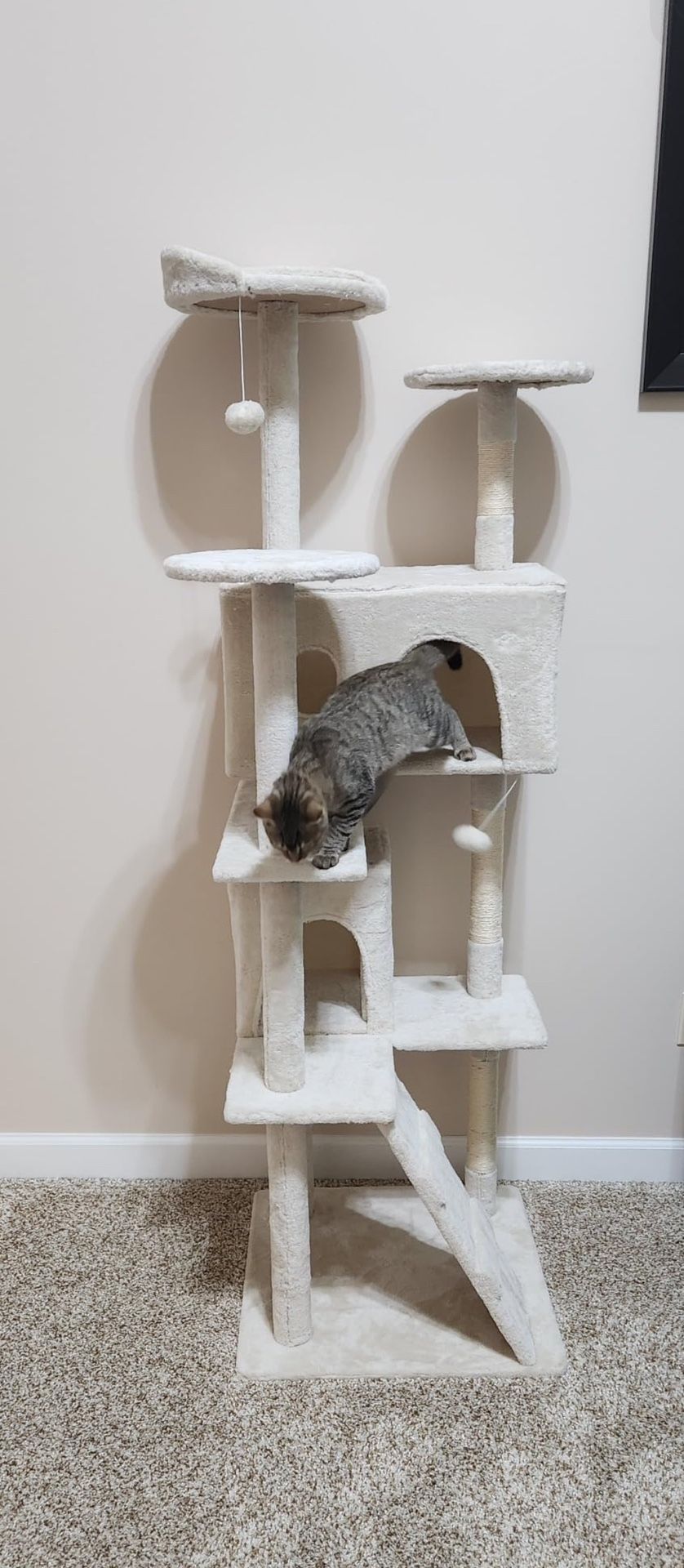   New  Cat Tree Still In Unopened Box 