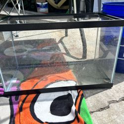 Fish Tank 