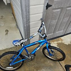 Blue Kids Bike 