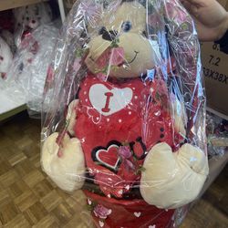 Frisco/Dallas, TX- 2021 Happy Valentines Day I Love You Gift Basket Bear Monkey Panda Dino Unicorn!