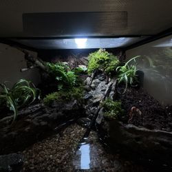 Terrarium 