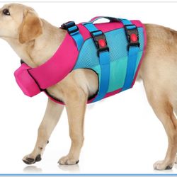 Pet Harness!