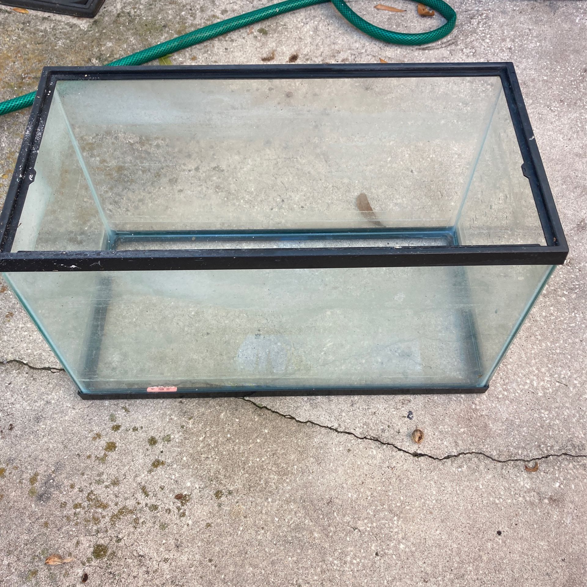 10 Gallon Fish Tank with filter