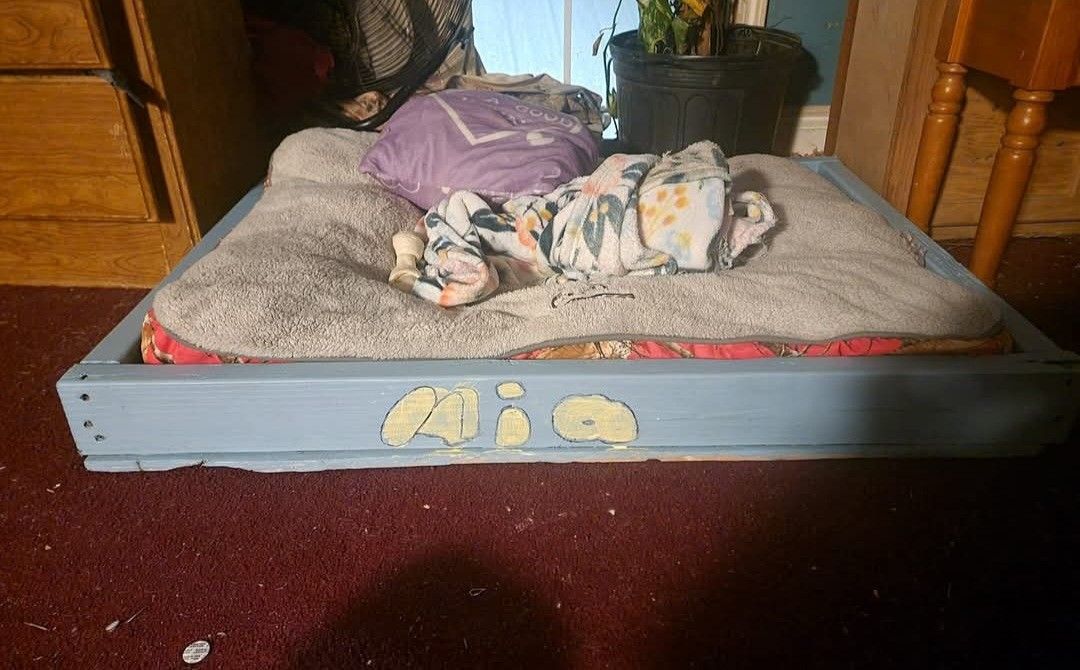 Dog Bed Frame 