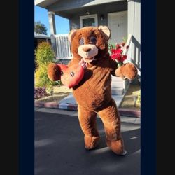 Teddygram Services