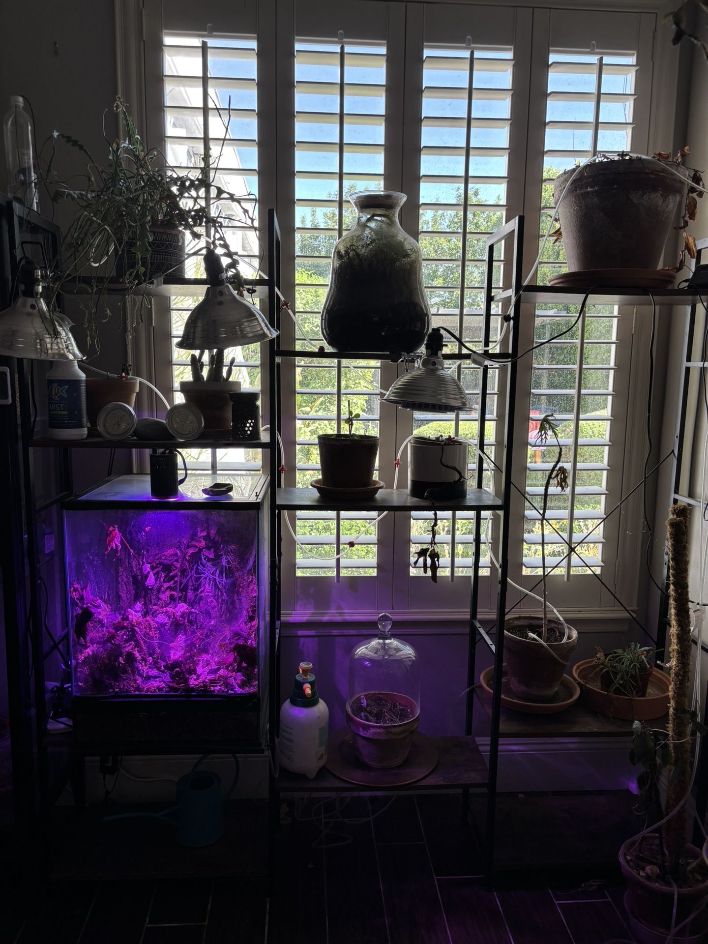 Plant Bookshelves
