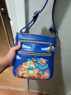 Disney launch fly