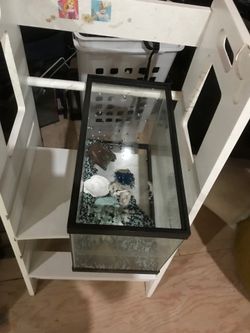 Aquarium small