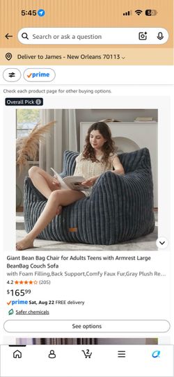 Giant Bean Bag Chair with Armrest