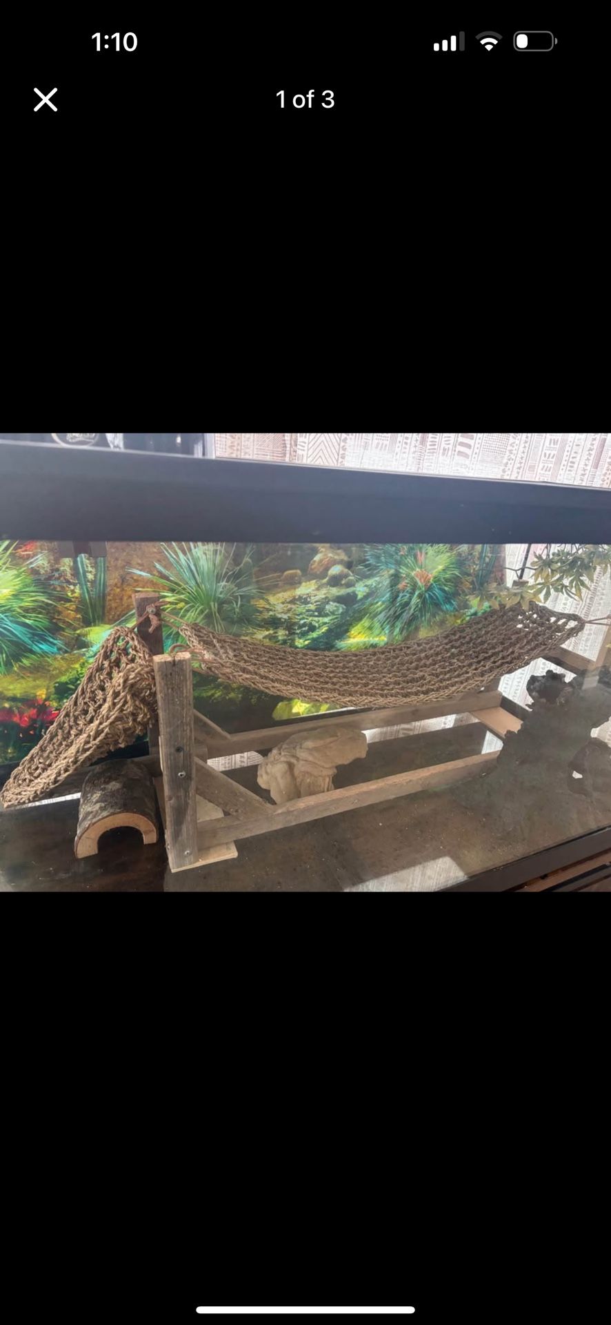 Bearded Dragon Bundle