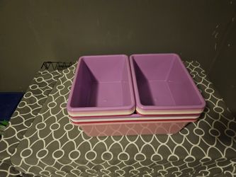 Organizer Bins $15 For All