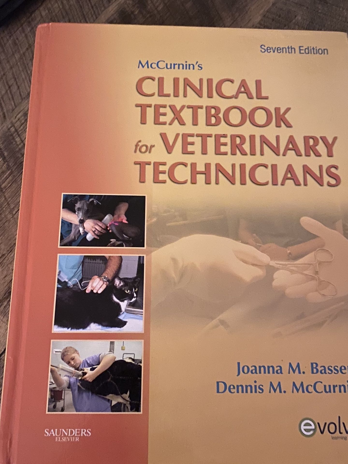 McCurnin’s Clinical Textbook For Veterinary Technicians