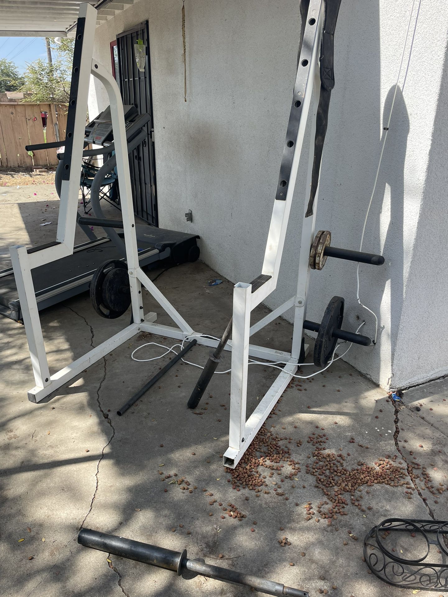 Squat Rack And Barbell Bar $100