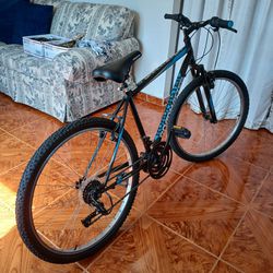 Adult Bicycle, 26" Tire