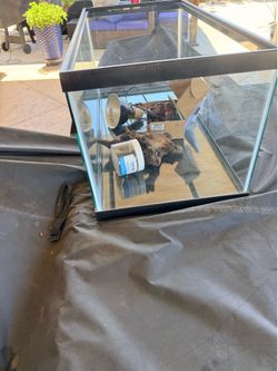 47 gallon Glass Reptile or Fish Tank Terrarium