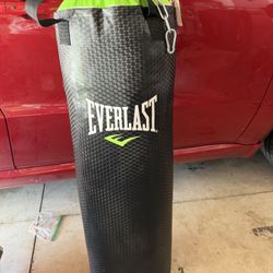 Everlast 70lb Punching Bag 