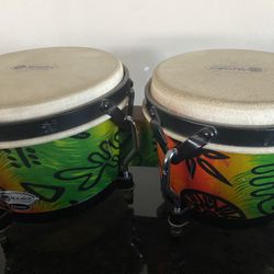 Mini Kongas