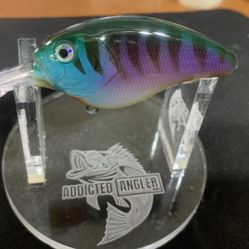 Custom Painted Crankbait Double Coated