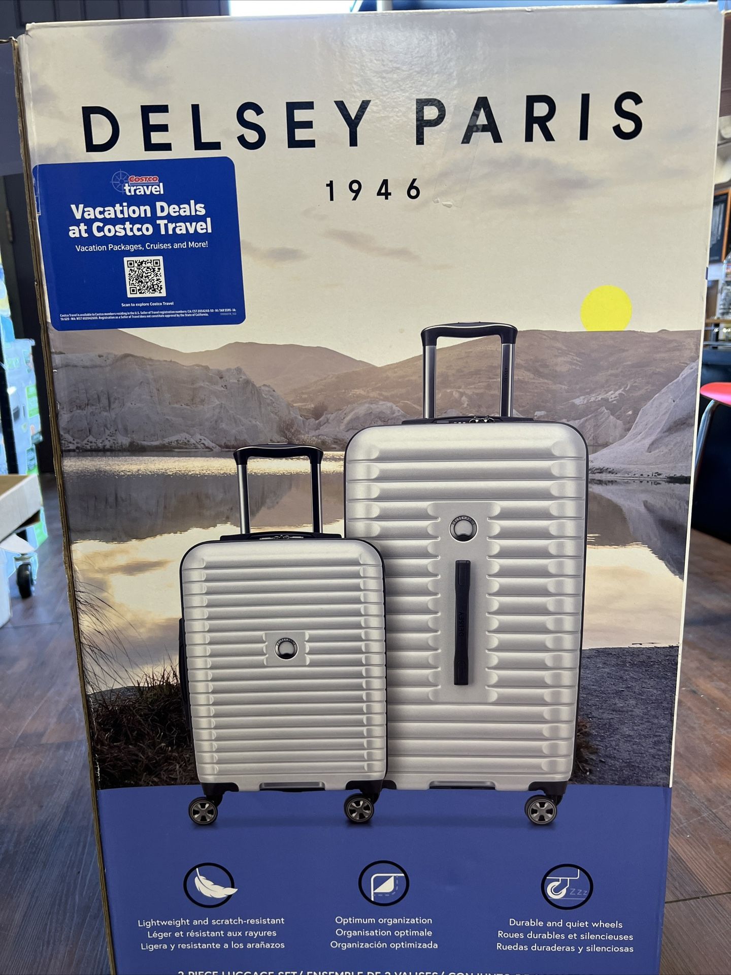 Delsey Paris 2-Piece Luggage Spinner Hardside Trunk Set 29" & 22"