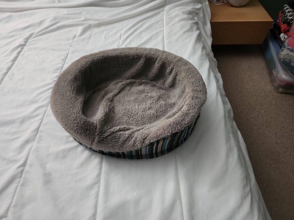 Cat Bed, New
