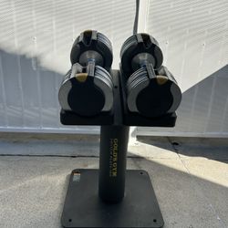 Golds gym Dumbbells 