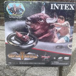 INFLATABULL POOL TOY