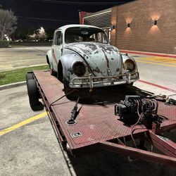 Vw Bug 