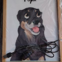 custom pet portrait light-up frame featuring an illustrated dog and the name (Kipa)