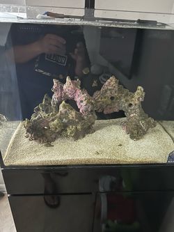 Live Rock Aquarium Reef Tank Setup